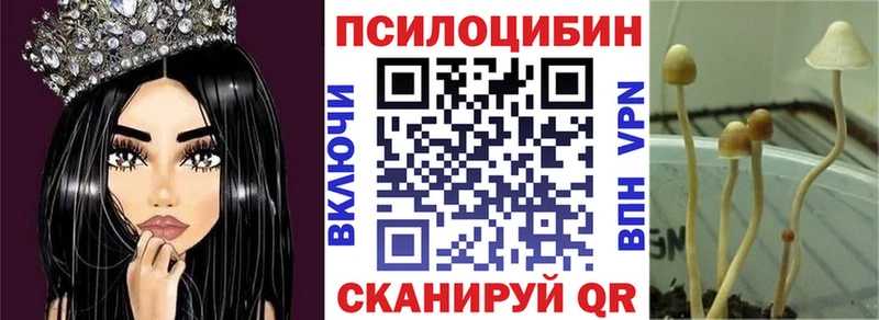 сайты даркнета состав  закладка  blacksprut ТОР  Сокол  Галлюциногенные грибы MAGIC MUSHROOMS 